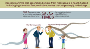 Secondhand marijuana smoke is dangerous