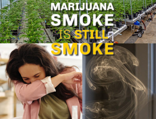 New Research Highlights Marijuana Concerns