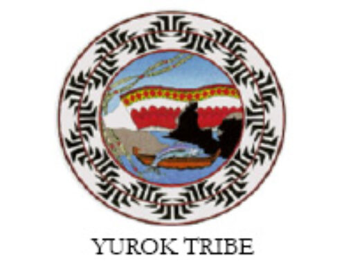 Yurok Tribe Champions Public Health with Unprecedented Commercial Tobacco-Free Policy
